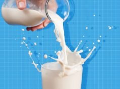 Milk Drinks To Satisfy Your Cravings Milk Drinks To Satisfy Your Cravings
