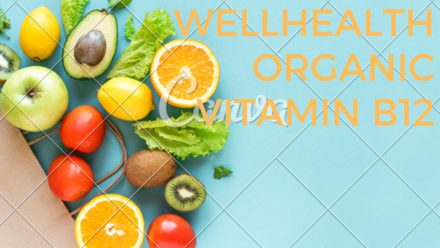 WELLHEALTHORGANIC VITAMIN B12 WELLHEALTHORGANIC VITAMIN B12
